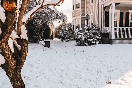 snow covered field during daytim thumbnail