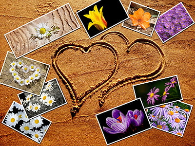 flower photos on sand with heart drawing thumbnail