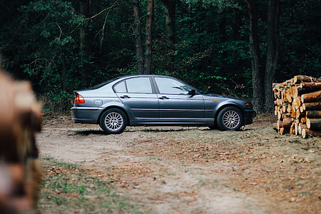 Car trip through fields and forests thumbnail