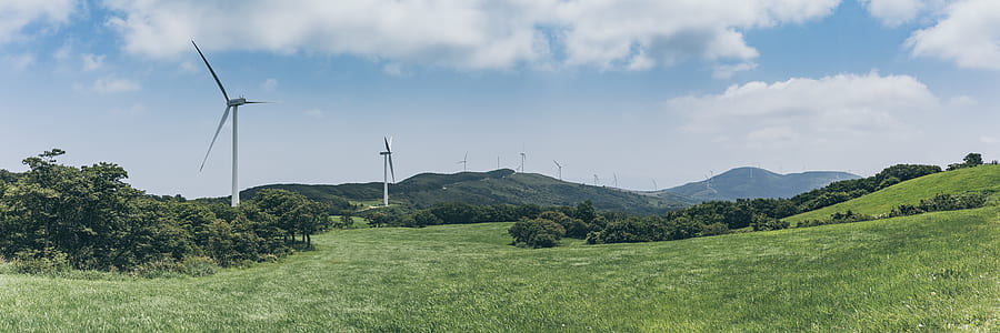 landscape photo of wind turbine surrounded by trees thumbnail