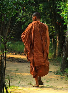 Men's Brown Top Near Trees thumbnail