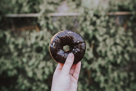 person holding chocolate doughnut thumbnail