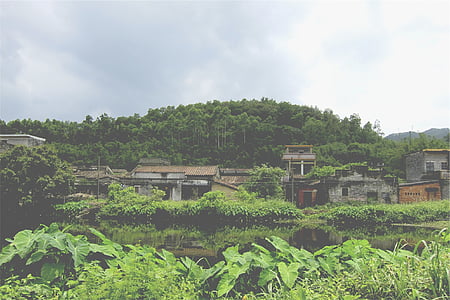 photo of house near green leaves tree thumbnail