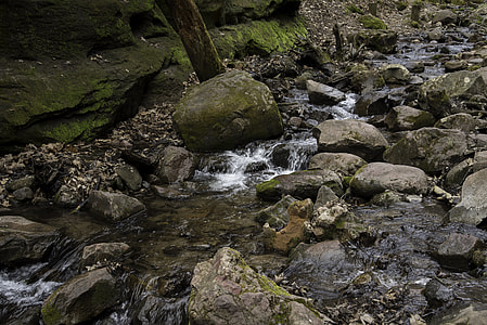 Stream Running Down the rocky creek at Parfrey's Glen, Wisconsin thumbnail