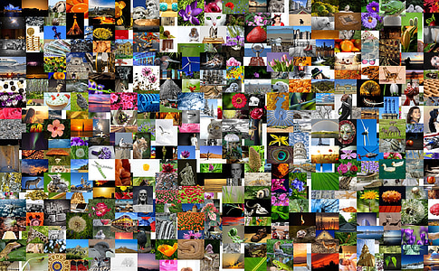 collage of random photos thumbnail