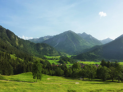 landscape photo of green trees near mountains thumbnail
