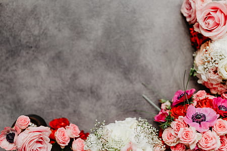 Flowers flat lay thumbnail