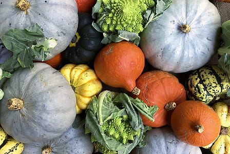 high angle photography of vegetables thumbnail