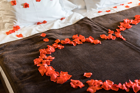 Romantic and Lovely Bed of Roses Petals thumbnail