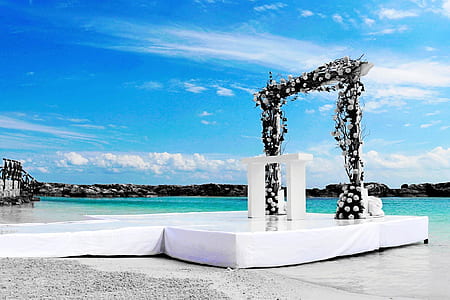 white flowers decor near beach thumbnail