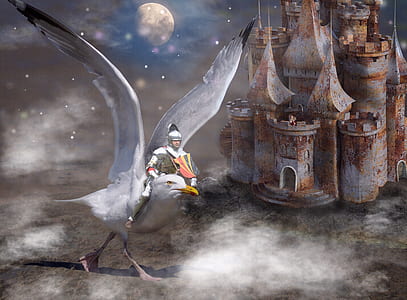 man rising on white bird wallpaper thumbnail