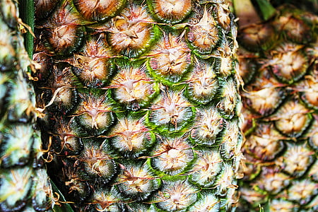 pineapple in macro shot photography thumbnail