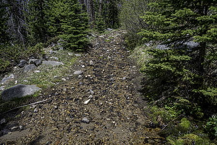Streams of water rushing down the Mountain Side at Elkhorn Mountains thumbnail