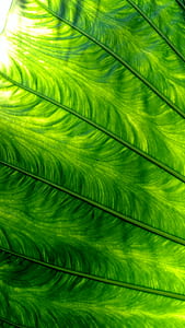 green and white textile thumbnail