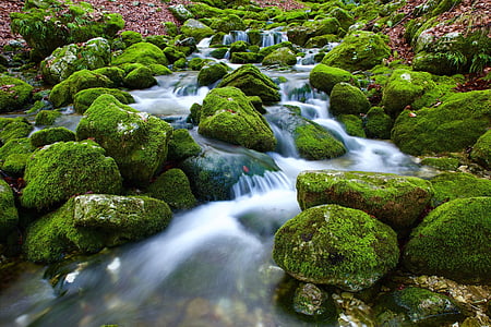 green and brown body of water thumbnail