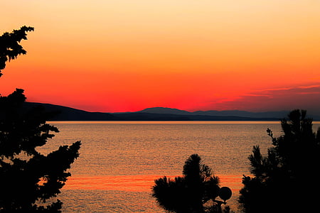 silhouette photography of sea and trees at noontime thumbnail