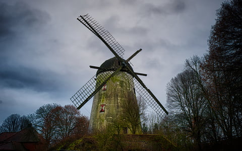 windmill surrounded by trees thumbnail