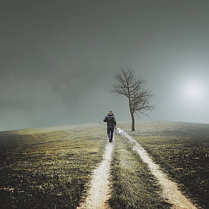 person walking on desired pathway under gray clouds thumbnail