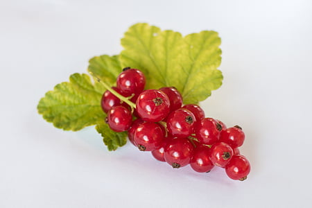 round red fruits thumbnail