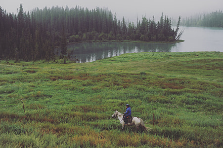 person riding white horse across grass field thumbnail
