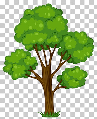 Tree Shrub Cartoon , Painted Green Tree , green leafed tree illustration PNG clipart