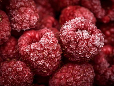 closeup photography of round red fruits thumbnail