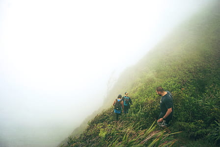 three person walking on pathway between grass field during daytime thumbnail