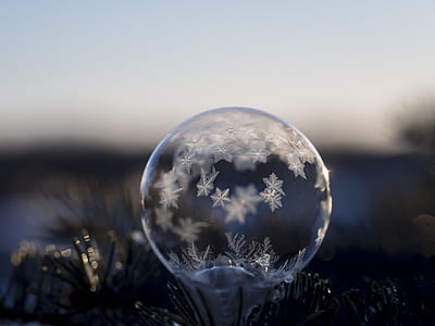 selective focus photography of snowflakes inside glass ball thumbnail