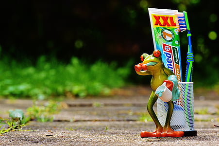 green frog beside toothpaste and toothbrush thumbnail