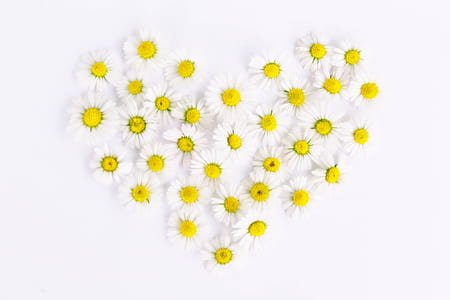 White and Yellow Flowers in Heart Form thumbnail