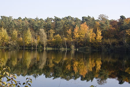 reflection photography of forest on lake under clear blue sky thumbnail