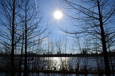 body of water near trees during daytime thumbnail