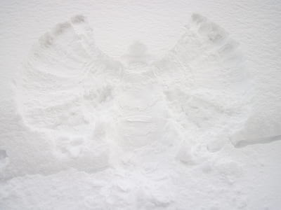 angel, christmas, cold, fun, season, snow thumbnail