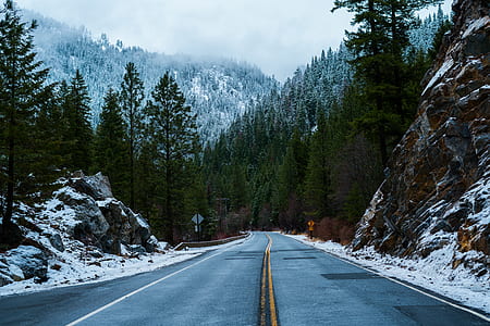 empty road near tree and mountain under white clouds thumbnail