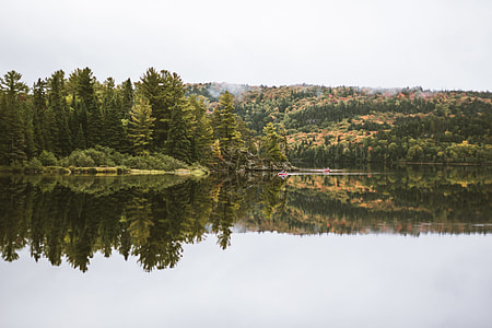 photo of body of water surrounded with trees during daytime thumbnail