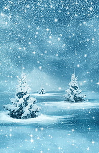 spruce tree with snow illustration thumbnail