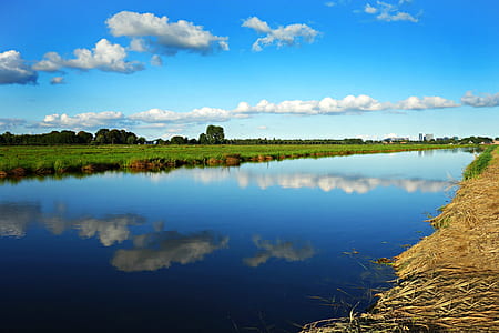 body of water beside grass field thumbnail