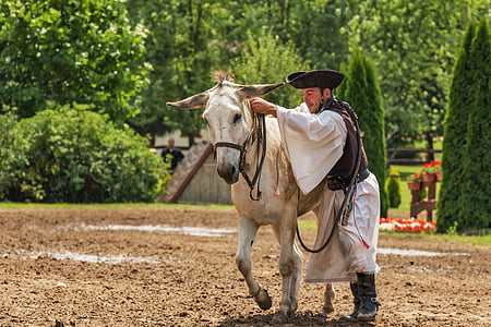white and black dressed equestrian thumbnail
