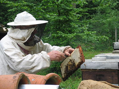 standing man holding honey box thumbnail