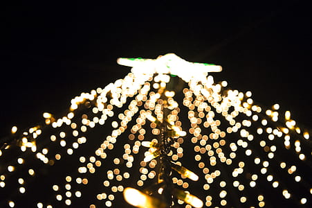 string lights during nighttime thumbnail