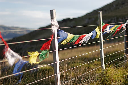 multicolored buntings on wooden fence thumbnail