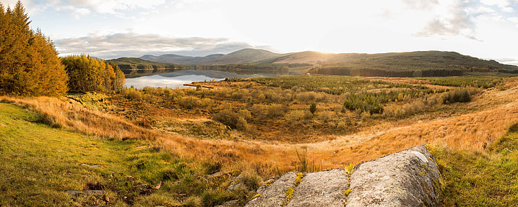 landscape photo of green field thumbnail