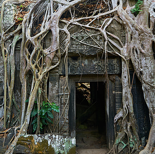 cave with trunk photograph thumbnail