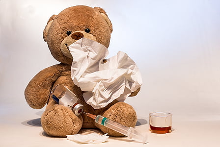 brown bear plush toy thumbnail