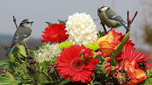 red and white flowers thumbnail
