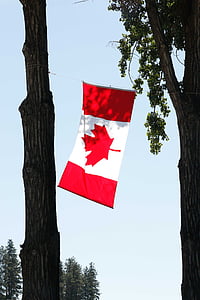 Canada flag on tree thumbnail