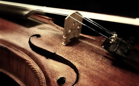 macro shot of violin thumbnail