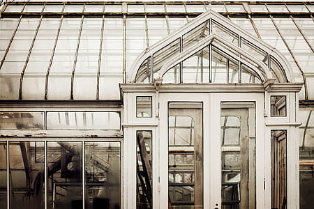 architectural photography of white wooden building thumbnail