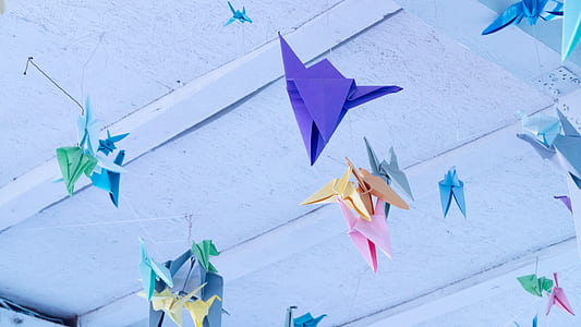 assorted-color origami hanging in the ceilings thumbnail