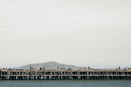brown wooden dock thumbnail